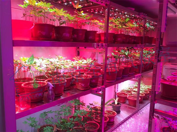 中國農業科學院特產研究所氣候室應用進展順利